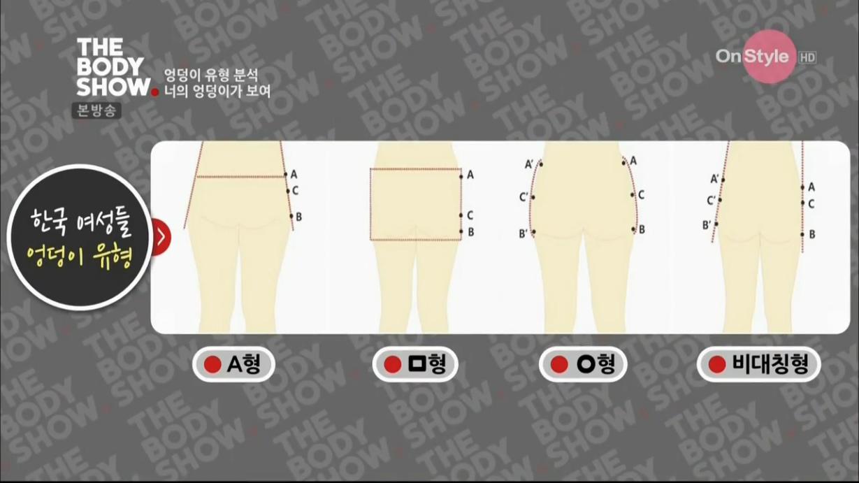 한국여성 골반.엉덩이 라인유형2.jpg
