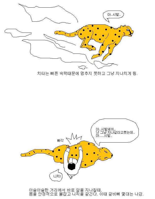 치타2.png